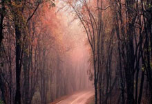 美国队战胜尼日利亚，力压组首晋级