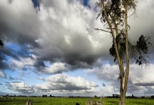 美国队战胜尼日利亚，力压组首晋级