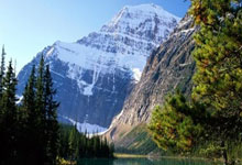 跆拳道高手技压众，决胜场上光芒四射