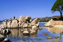 美国队战胜尼日利亚，力压组首晋级