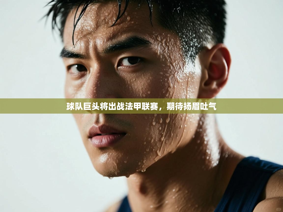 球队巨头将出战法甲联赛，期待扬眉吐气  第2张