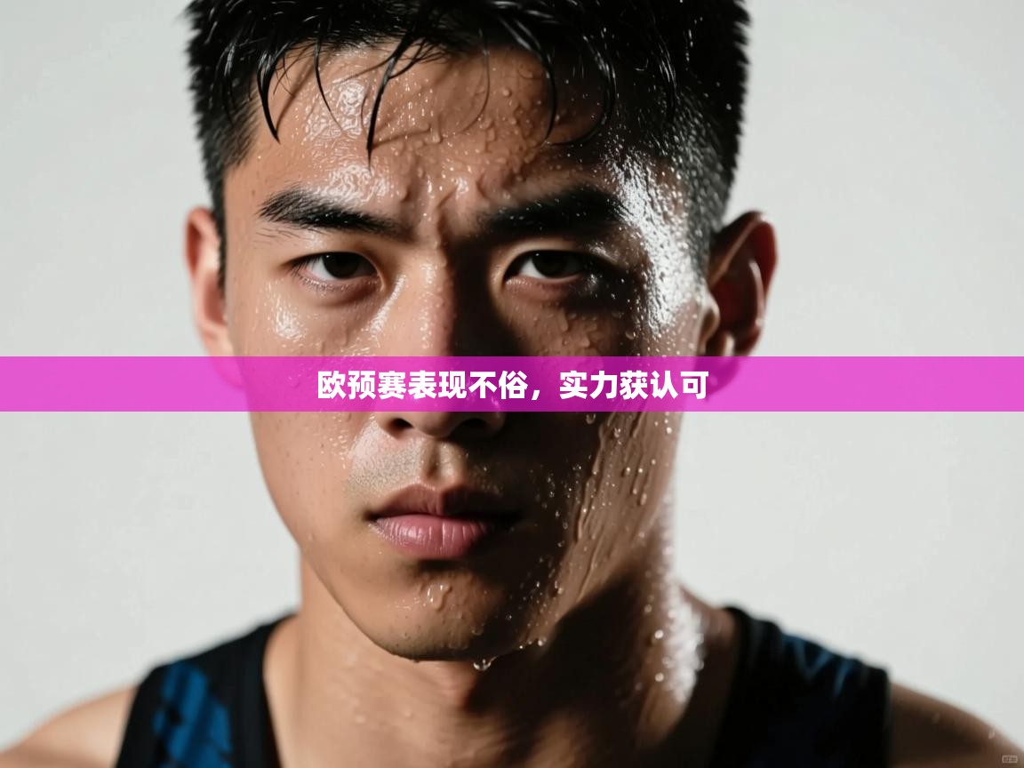 欧预赛表现不俗，实力获认可  第2张