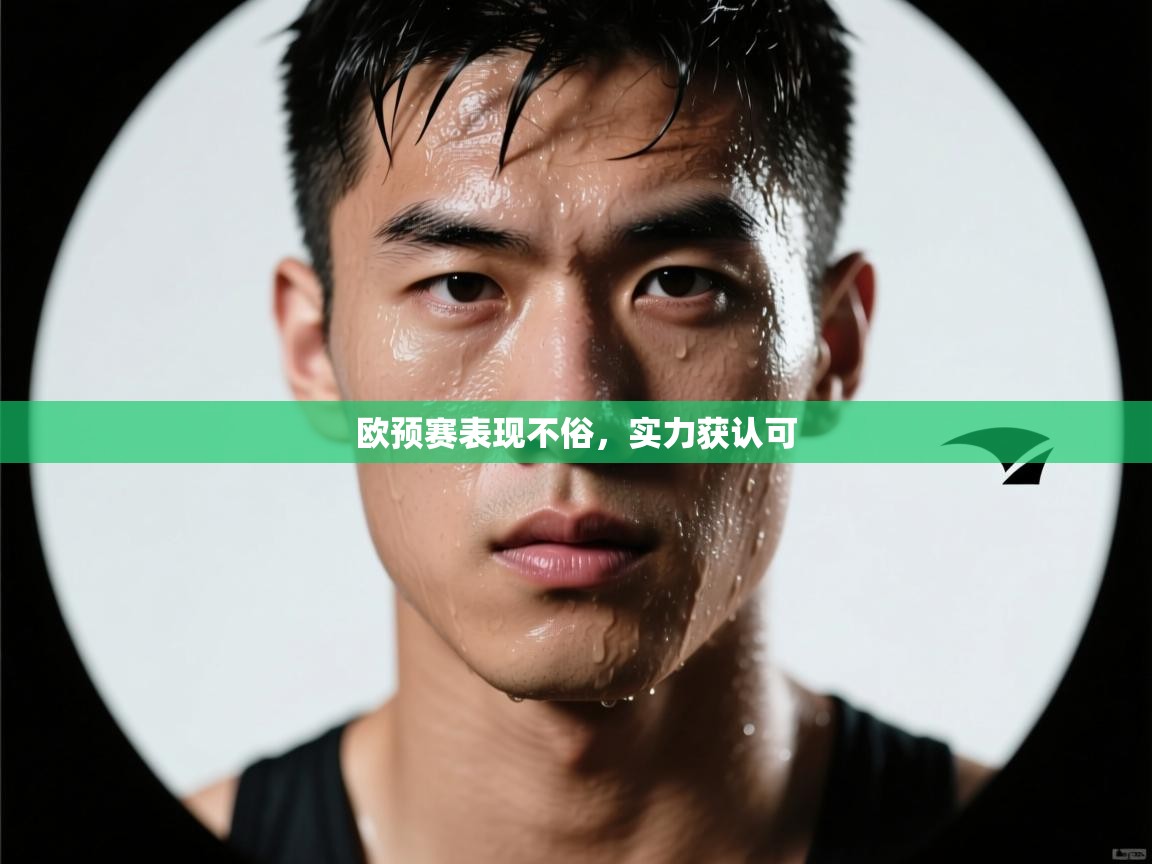 欧预赛表现不俗，实力获认可  第1张